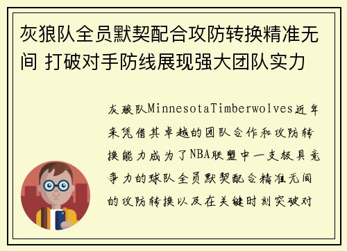 灰狼队全员默契配合攻防转换精准无间 打破对手防线展现强大团队实力