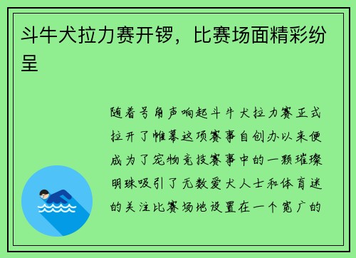 斗牛犬拉力赛开锣，比赛场面精彩纷呈